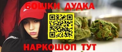 тгк Будённовск