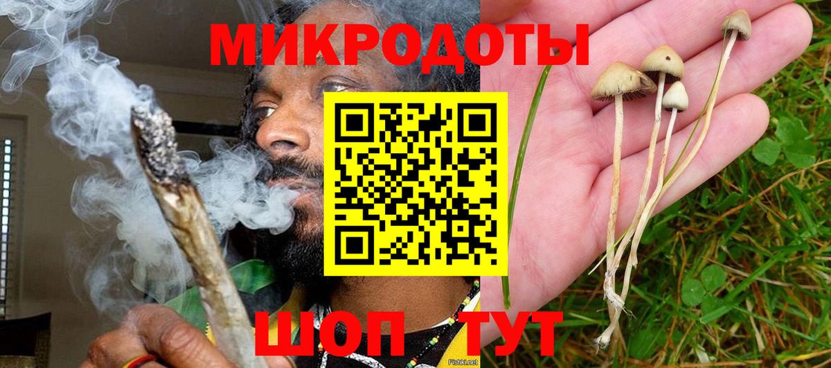 Псилоцибиновые грибы Psilocybine cubensis  Вход с VPN  Азов  Псилоцибиновые грибы прущие грибы 